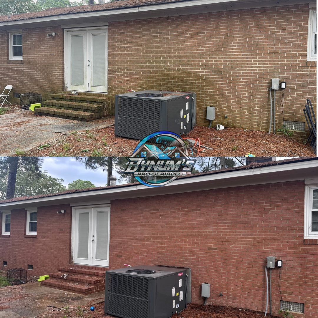Exterior cleaning project
